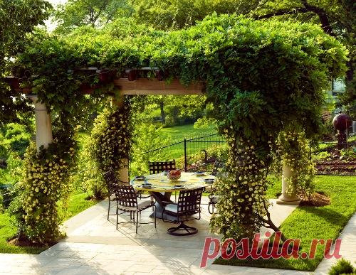 Мастер-классы | Домохозяйка