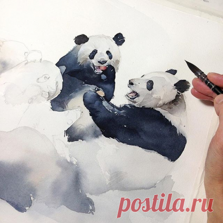 Мишки в процессе)🐼