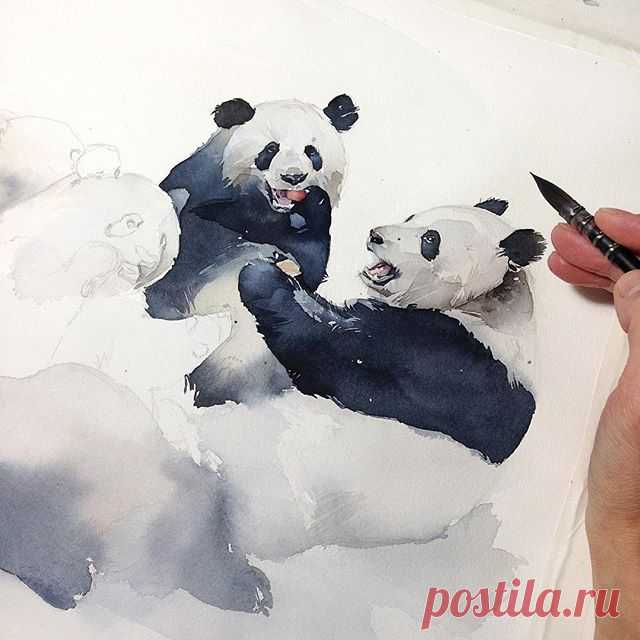 Мишки в процессе)🐼