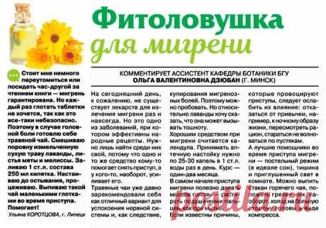 Фитоловушка для мигрени