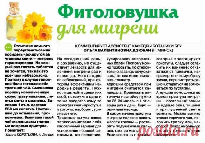 Фитоловушка для мигрени