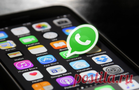 WhatsApp вскоре прекращает работу на смартфонах со старым Android | Droidnews.ru | Яндекс Дзен