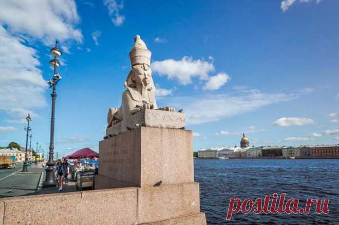 Петербургские сфинксы. Что скрывается за их улыбками