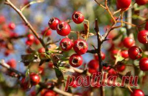 Как очистить суставы народными средствами | УСПЕХ с NEWAYS