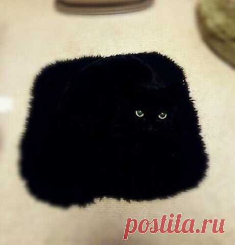 У ковров есть глаза