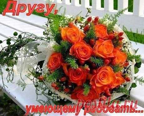 (5) Одноклассники