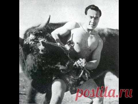 Американский триумф Масутацу Оямы. Как киокушинкай начал покорять мир. | Сам себе сэнсэй | Яндекс Дзен