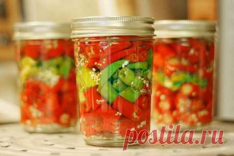 Горький перец на зиму, рецепт маринованный горький стручковый перец