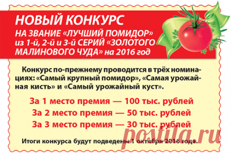 НПО "Сады России" объявляет КОНКУРС на САМЫЙ КРУПНЫЙ ПОМИДОР! | Практика ведения дачного хозяйства