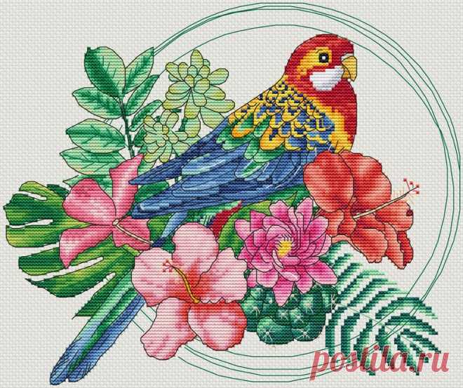 Вышивка крестиком JPG Попугай Тигр Цифровая загрузка | Etsy