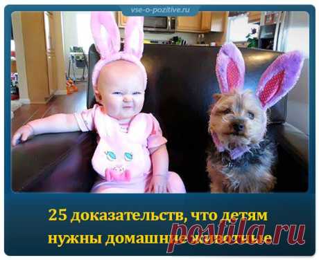 25 доказательств, что детям нужны домашние животные