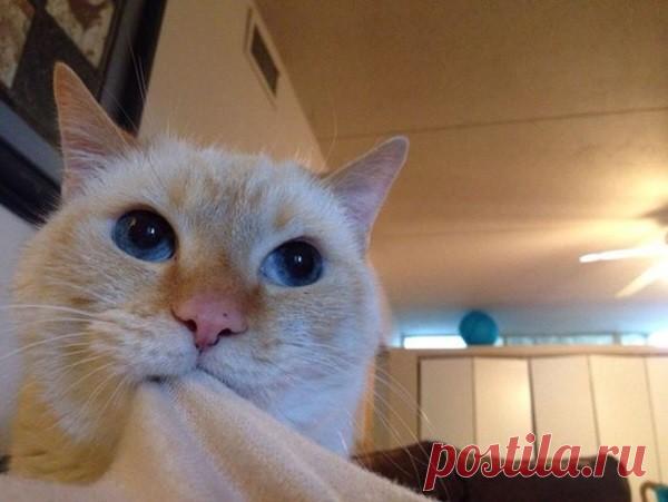 Озорные маленькие 