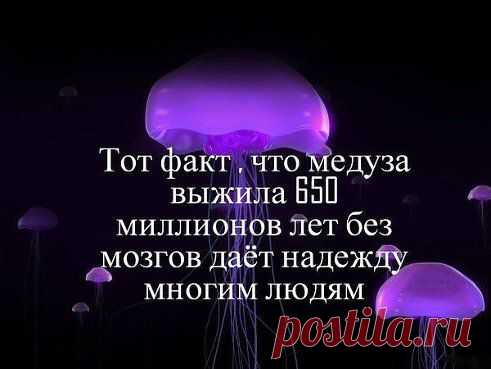Люди - это про медузу. У нас другое соотношение воды в организме