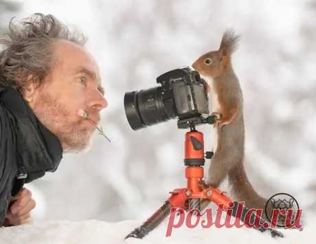Шведский фотограф Герт Вегген (Geert Weggen) известен на весь мир своими сказочными фотографиями с участием белок. Он уже много лет фотографирует диких белок из окна своей кухни.

В импровизированном саду мужчина мастерит самые разные необычные декорации, раскладывает угощения и ждет пушистых моделей.
Фотограф рассказал, что 15 лет назад он построил свой дом с балконом в маленькой шведской деревне.

Он и не думал, что когда-то его балкон с садиком станет фотостудией для бе...
