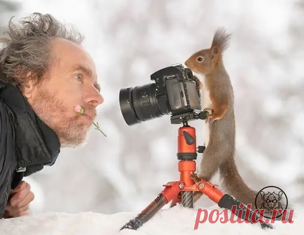 Шведский фотограф Герт Вегген (Geert Weggen) известен на весь мир своими сказочными фотографиями с участием белок. Он уже много лет фотографирует диких белок из окна своей кухни.

В импровизированном саду мужчина мастерит самые разные необычные декорации, раскладывает угощения и ждет пушистых моделей.
Фотограф рассказал, что 15 лет назад он построил свой дом с балконом в маленькой шведской деревне.

Он и не думал, что когда-то его балкон с садиком станет фотостудией для бе...