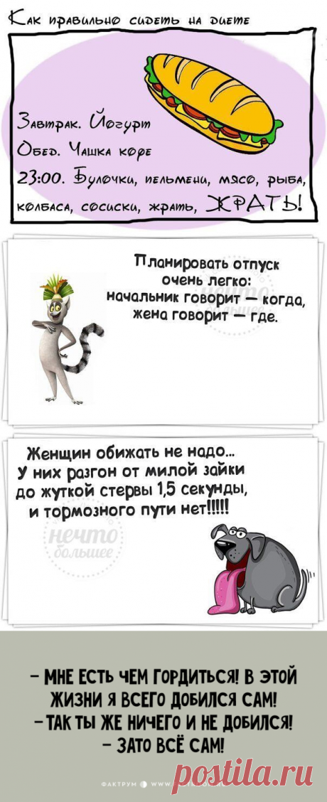 Задорные шутки с сарказмом | В темпі життя