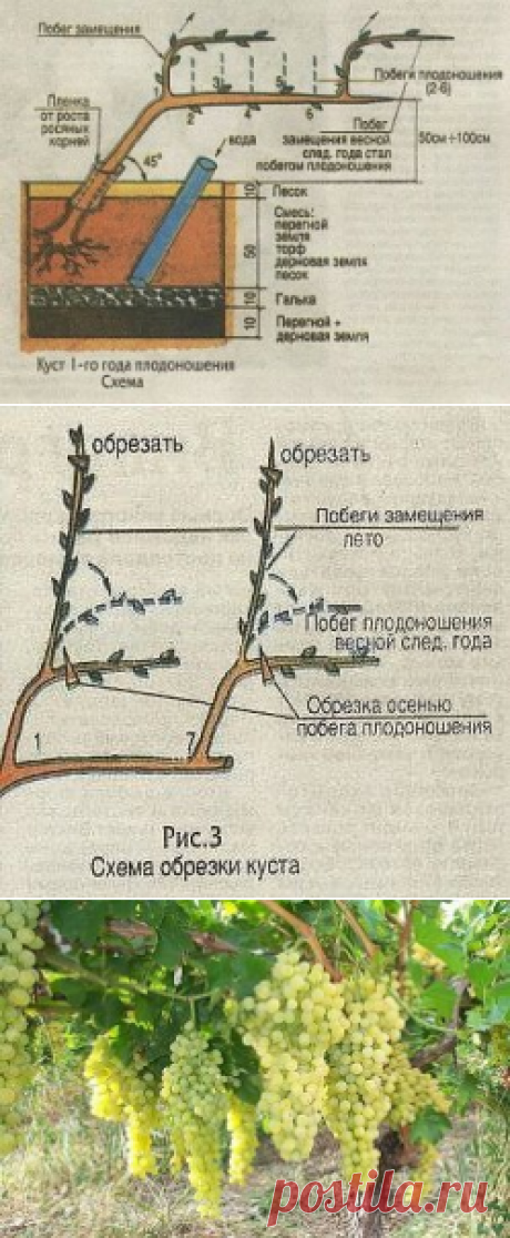Одноклассники