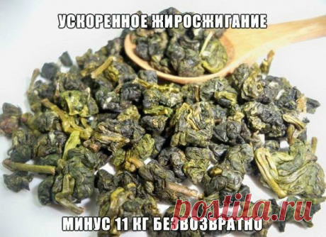 Жир уходит безвозвратно! Это находка! Молочный чай — Диеты со всего света