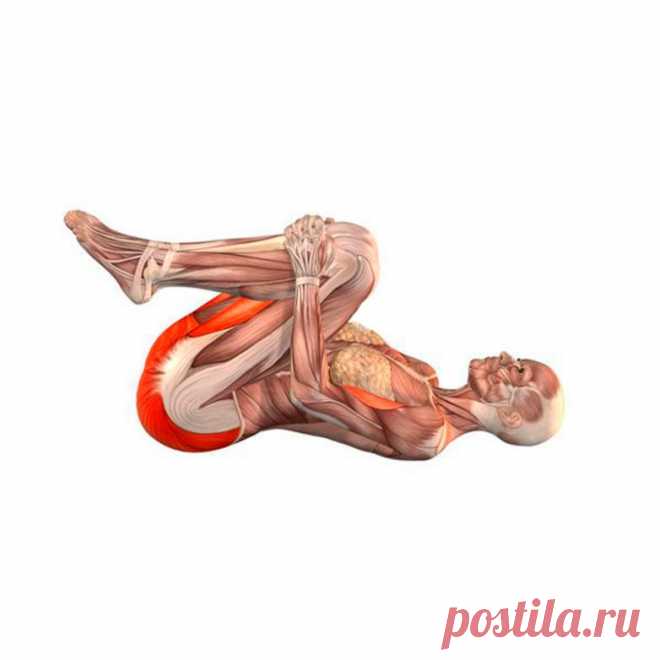 Упражнения для улучшения пищеварения / Будьте здоровы