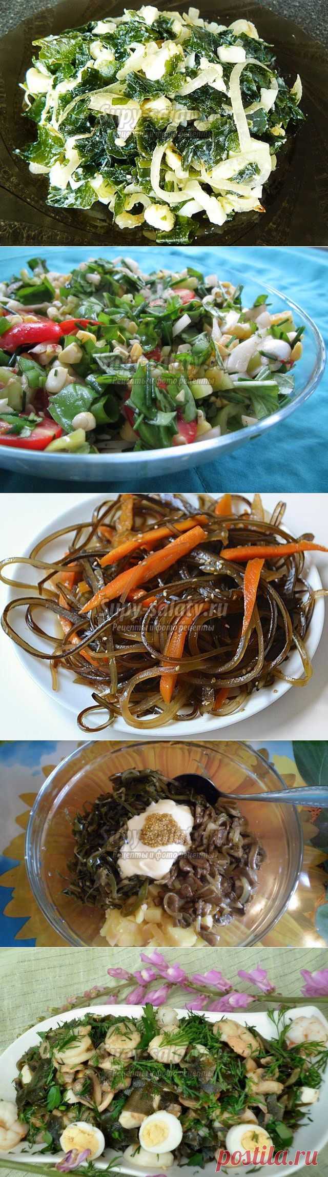 салат из морской капусты. ЛУчшие рецепты