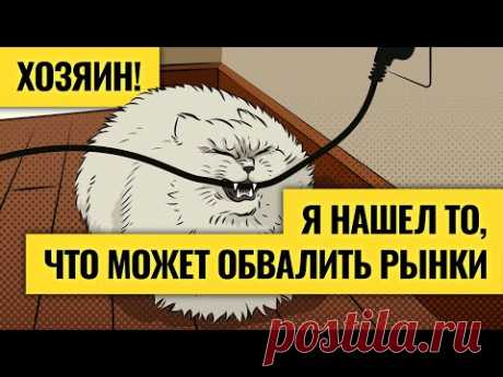 Деньги не спят. LIVE