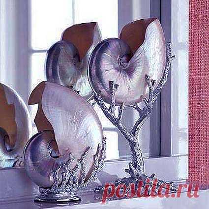 поделки из морских и речных ракушек(чудеса норма жизни)