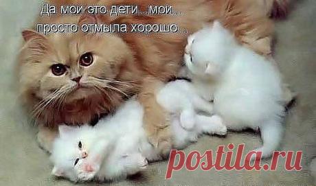 Мой Мир@Mail.Ru