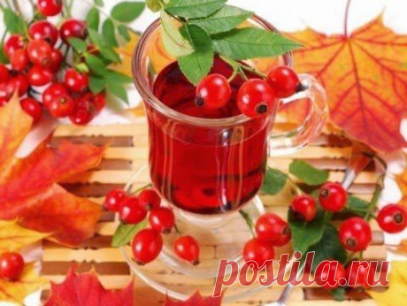 Чай из шиповника с медом | Банк кулинарных рецептов