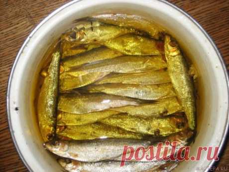 ШПРОТЫ ИЗ ЛЮБОЙ РЫБЫ