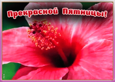 Открытка прекрасной пятницы