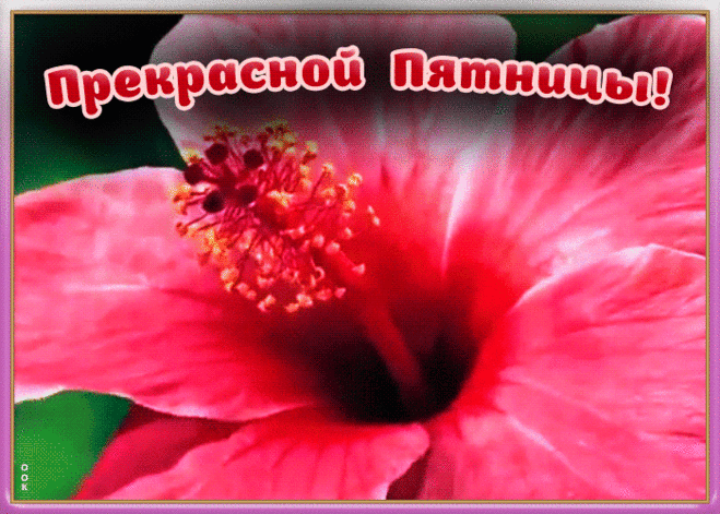 Открытка прекрасной пятницы