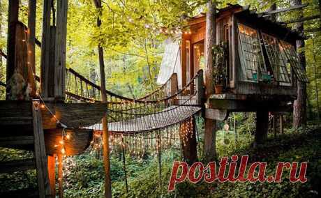 7 самых романтичных домиков на дереве