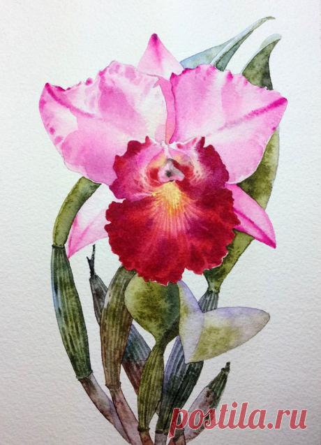 Художник - акварелист Ti Watercolor-Kitipong Maksin (Bangkok-Thailand ): kolybanov — ЖЖ