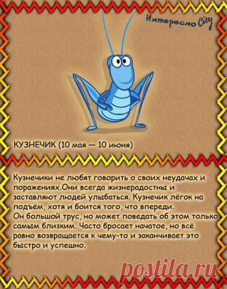 ИнтересноCity
