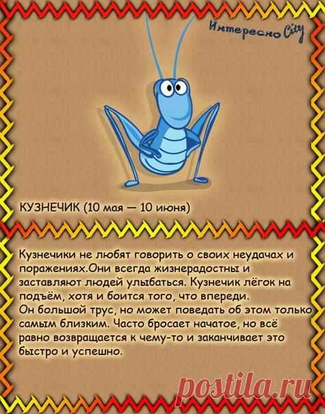 ИнтересноCity