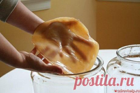 Лечение чайным грибом