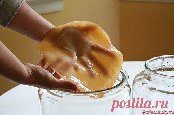 Лечение чайным грибом