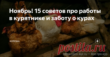 Ноябрь! 15 советов про работы в курятнике и заботу о курах Добрый день, дорогие птицеводы!  И вот бодрящие осенние дни уступают место зимнему холоду. Ноябрь. Что проверить в курятнике и как подготовить несушек к зиме – 15 советов в нашем материале.
Ноябрь. Работы в курятнике и заботы о курах через раз в день, и вы закончите до конца месяца. Ваша паства будет благодарить вас за это крепким здоровьем и отличной яйценоскостью!
Курятник топить или не