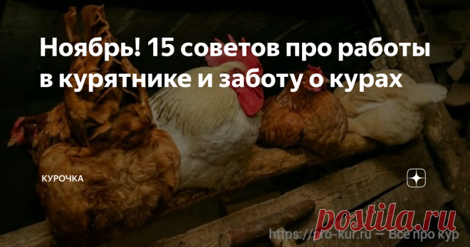 Ноябрь! 15 советов про работы в курятнике и заботу о курах Добрый день, дорогие птицеводы!  И вот бодрящие осенние дни уступают место зимнему холоду. Ноябрь. Что проверить в курятнике и как подготовить несушек к зиме – 15 советов в нашем материале.
Ноябрь. Работы в курятнике и заботы о курах через раз в день, и вы закончите до конца месяца. Ваша паства будет благодарить вас за это крепким здоровьем и отличной яйценоскостью!
Курятник топить или не