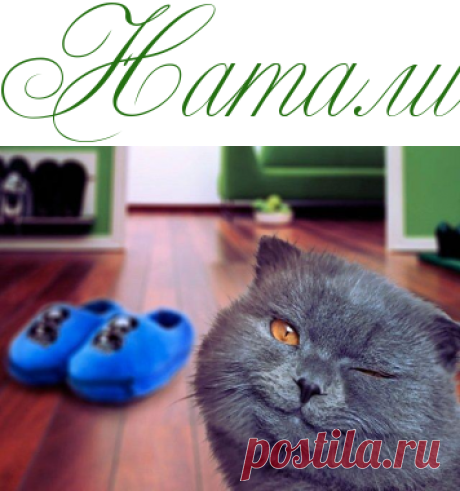 Почему кошка гадит в тапки? Решение проблемы - Домашние любимцы - Информационно - развлекательный портал.