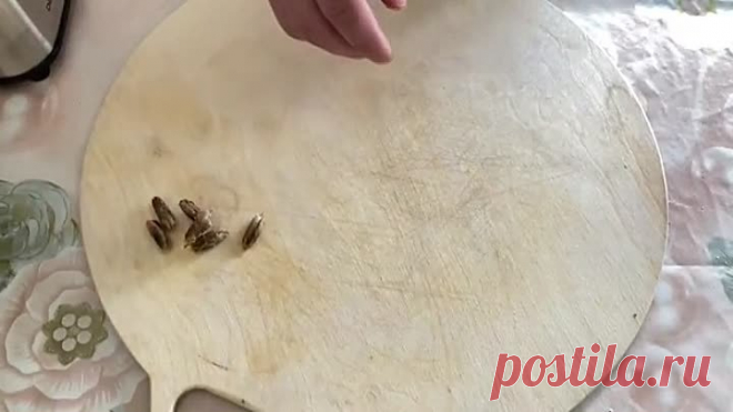 VID-20210424-WA0020.mp4