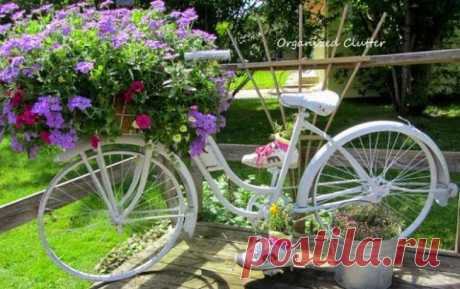 Идеи для обустройства садового участка