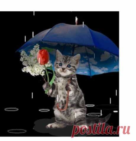 (1) Одноклассники
