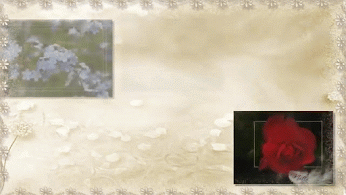 Живые фотографии – Сообщество – Google+