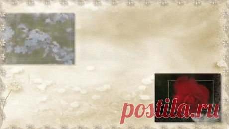 Живые фотографии – Сообщество – Google+