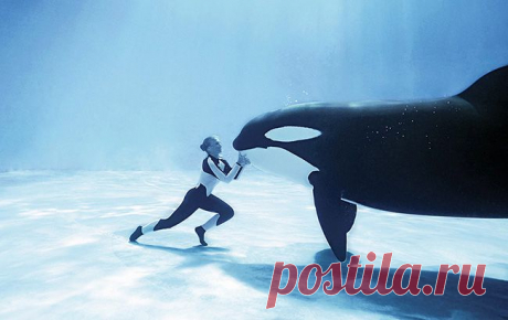 Чем мудрая женщина отличается от умной – Фитнес для мозга