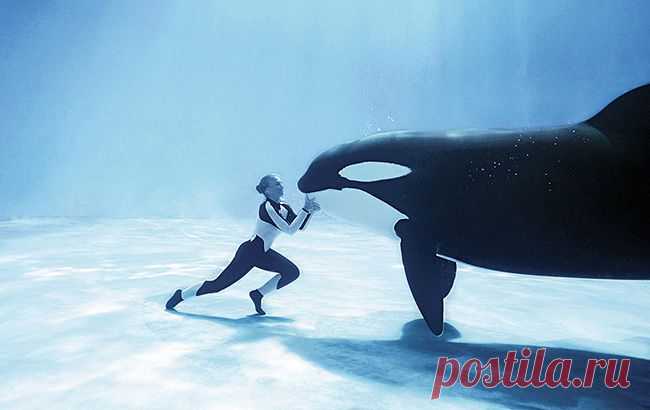 Чем мудрая женщина отличается от умной – Фитнес для мозга