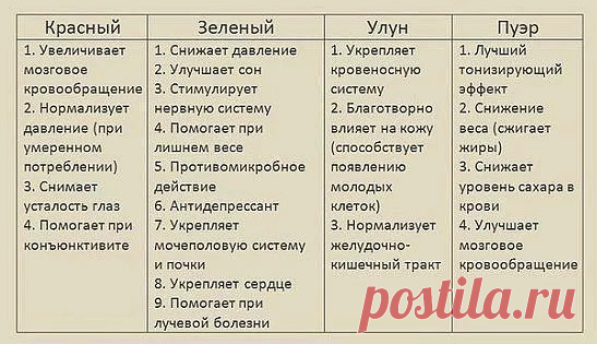 52 шпаргалки, которые вы точно захотите сохранить