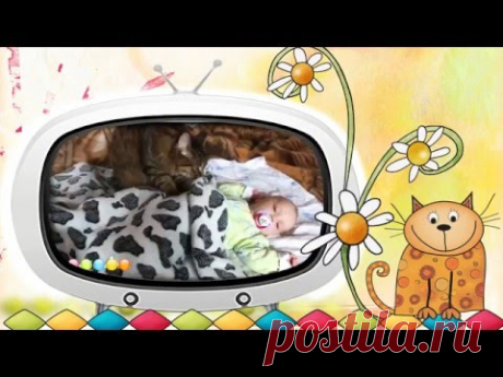 Видео клип &quot;Коты и Дети&quot;. Выпуск 2. Об отношениях детей и котов
