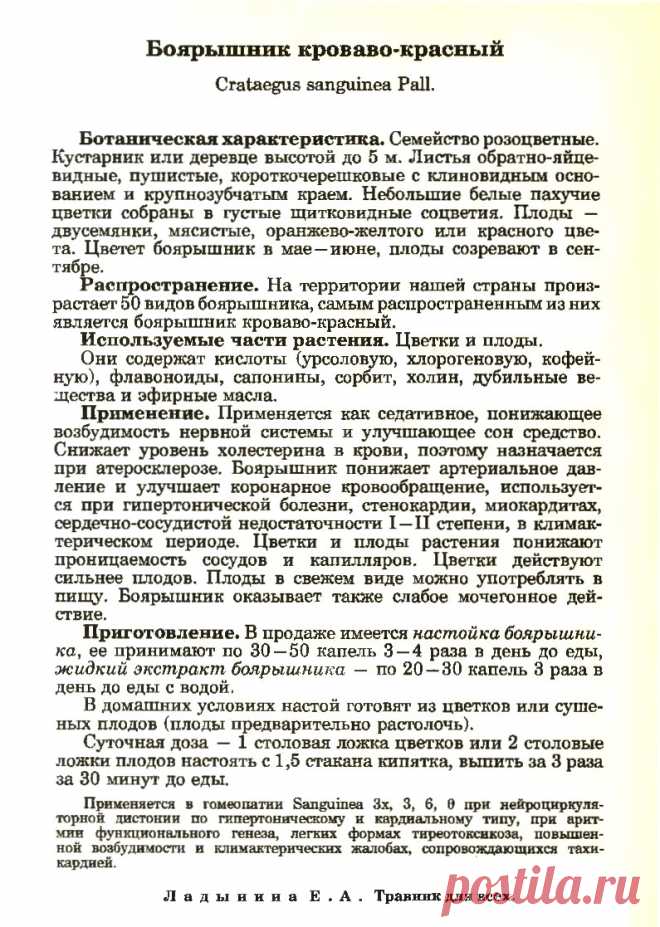 Боярышник кроваво-красный